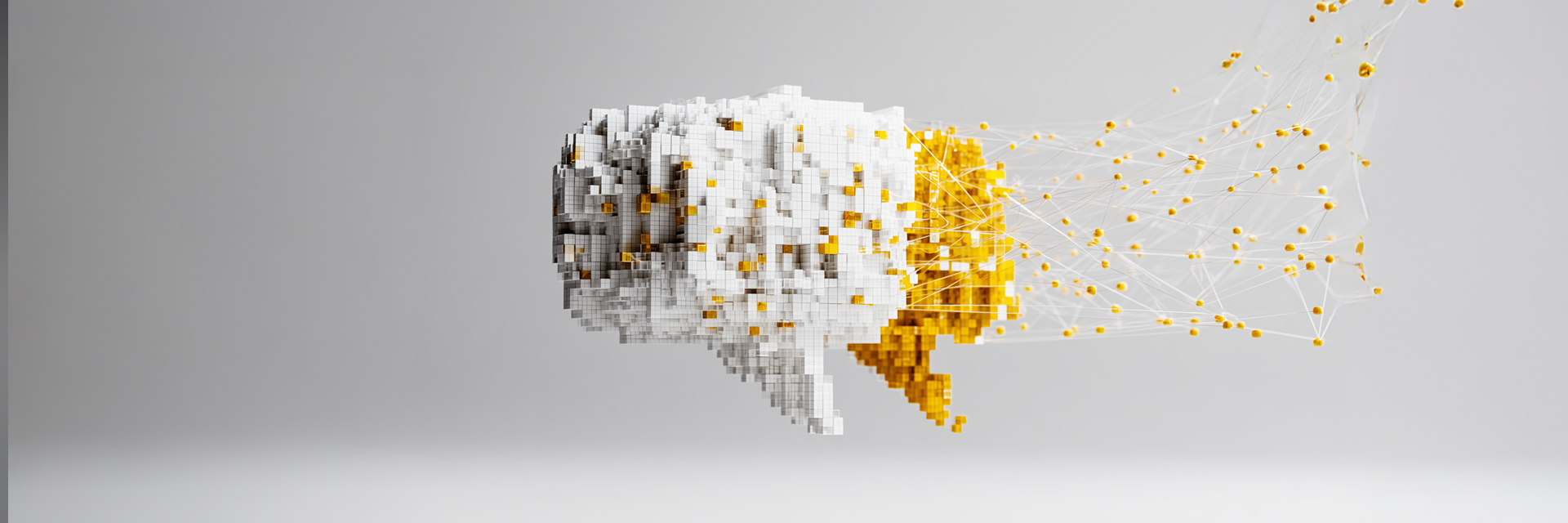 Geschäftsführer Sebastian Koch im Interview